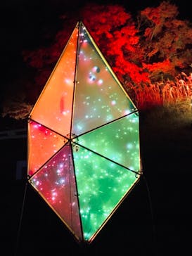 KYOTO ILLUMINATION SYNESTHESIA HILLS るり渓温泉に投稿された画像（2020/11/15）