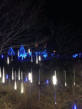 KYOTO ILLUMINATION SYNESTHESIA HILLS るり渓温泉に投稿された画像（2020/11/15）