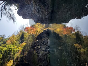 ぼちぼちアドベンチャーすそのに投稿された画像（2020/11/15）