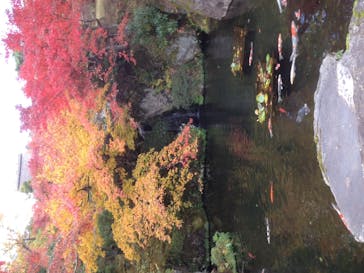 箱根美術館に投稿された画像（2020/11/15）