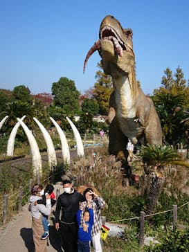 伊豆ぐらんぱる公園に投稿された画像（2020/11/15）