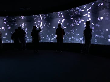 サンシャイン水族館に投稿された画像（2020/11/15）