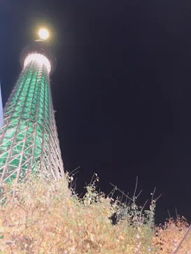 東京スカイツリーに投稿された画像（2020/11/15）
