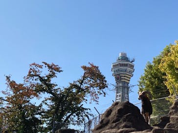 天王寺動物園に投稿された画像（2020/11/15）