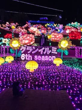 伊豆ぐらんぱる公園に投稿された画像（2020/11/15）