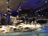 すみだ水族館に投稿された画像（2020/11/15）