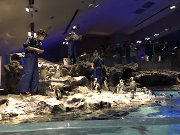 すみだ水族館に投稿された画像（2020/11/15）