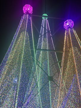 よみうりランド 遊園地に投稿された画像（2020/11/15）