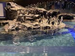 すみだ水族館に投稿された画像（2020/11/16）