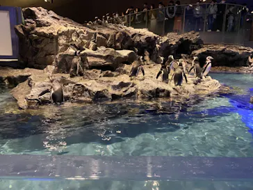 すみだ水族館に投稿された画像（2020/11/15）