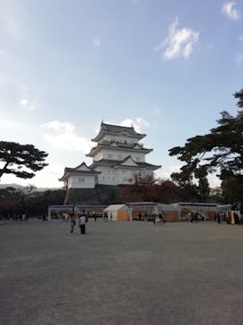 小田原城に投稿された画像（2020/11/15）