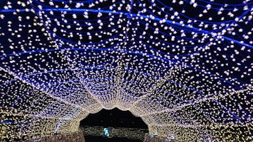 東京メガイルミに投稿された画像（2020/11/15）