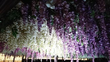 東京メガイルミに投稿された画像（2020/11/15）