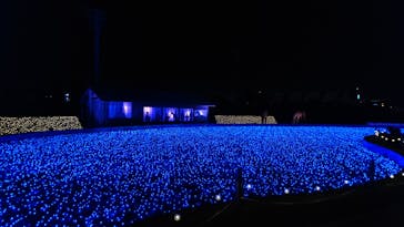 東京メガイルミに投稿された画像（2020/11/15）