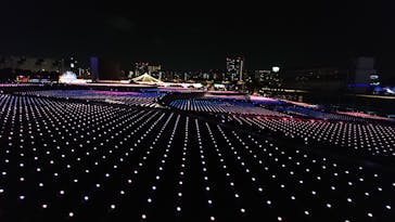 東京メガイルミに投稿された画像（2020/11/15）