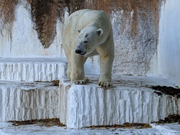 天王寺動物園に投稿された画像（2020/11/16）