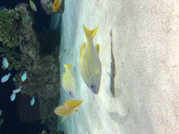 マリンワールド海の中道に投稿された画像（2020/11/16）