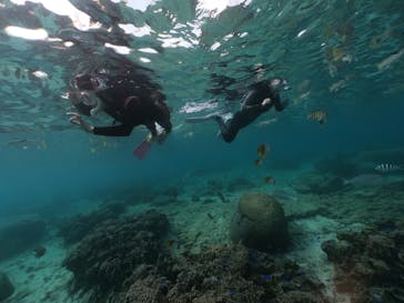 DIVING-SHOP SUNSに投稿された画像（2020/11/16）