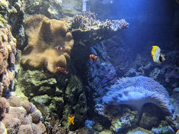 株式会社Gに投稿された画像（2020/11/16）