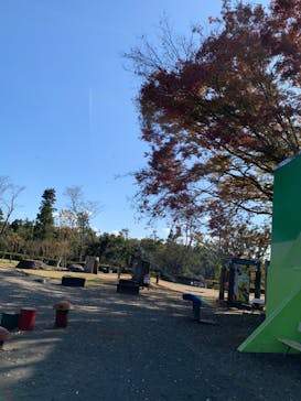 千葉こどもの国 キッズダムに投稿された画像（2020/11/16）