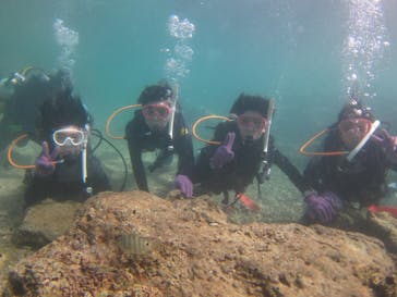 沖縄ダイビングショップシーモールに投稿された画像（2020/11/16）