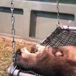 サンシャイン水族館に投稿された画像（2020/11/16）