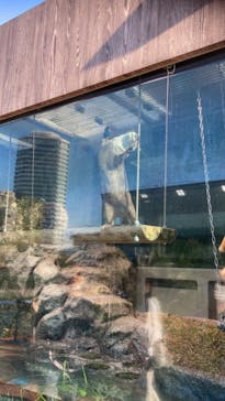 サンシャイン水族館に投稿された画像（2020/11/16）