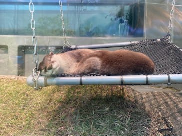 サンシャイン水族館に投稿された画像（2020/11/16）