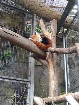 熱川バナナワニ園に投稿された画像（2020/11/16）