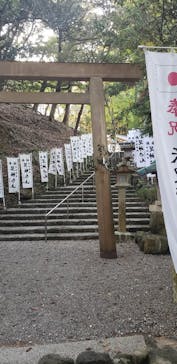 伊勢人力車光勢屋に投稿された画像（2020/11/16）