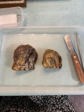 しながわ水族館に投稿された画像（2020/11/16）