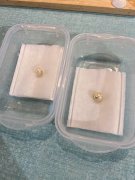 しながわ水族館に投稿された画像（2020/11/16）