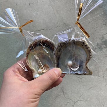 しながわ水族館に投稿された画像（2020/11/16）