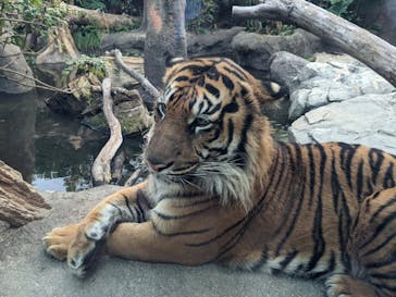 神戸どうぶつ王国に投稿された画像（2020/11/16）