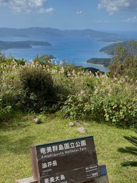 ミッドナイトツアー 奄美に投稿された画像（2020/11/16）