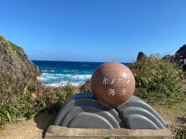 ミッドナイトツアー 奄美に投稿された画像（2020/11/16）