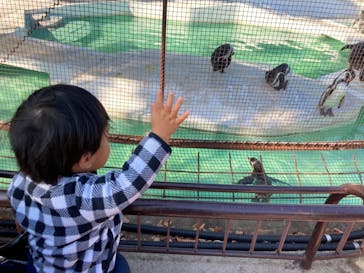 天王寺動物園に投稿された画像（2020/11/16）