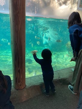 天王寺動物園に投稿された画像（2020/11/16）