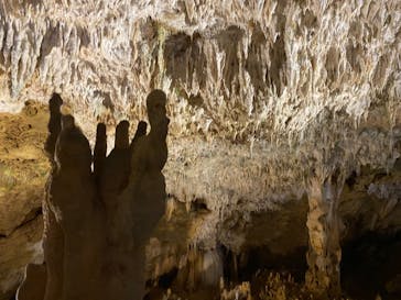 石垣島鍾乳洞に投稿された画像（2020/11/16）