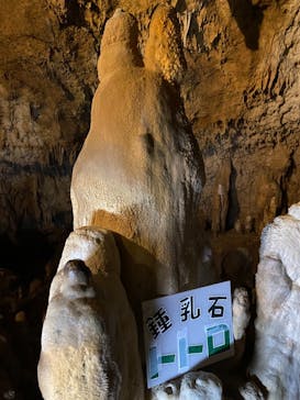 石垣島鍾乳洞に投稿された画像（2020/11/16）