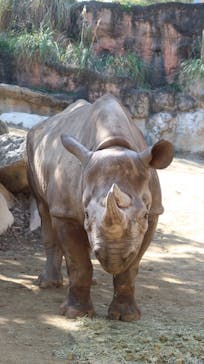 天王寺動物園に投稿された画像（2020/11/16）