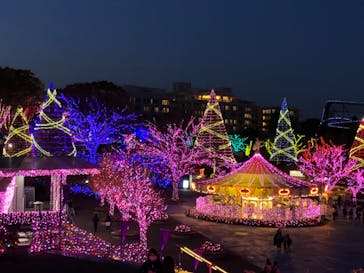 よみうりランド 遊園地に投稿された画像（2020/11/16）