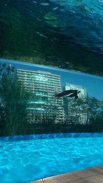 サンシャイン水族館に投稿された画像（2020/11/16）