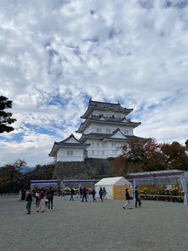 小田原城に投稿された画像（2020/11/16）