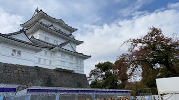 小田原城に投稿された画像（2020/11/16）