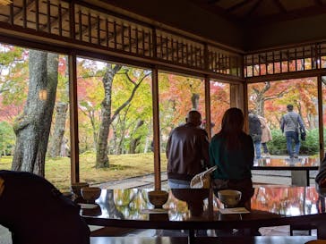 箱根美術館に投稿された画像（2020/11/16）