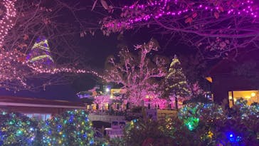 よみうりランド 遊園地に投稿された画像（2020/11/16）