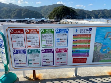 うみたま体験パーク 「つくみイルカ島」に投稿された画像（2020/11/16）