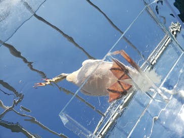 サンシャイン水族館に投稿された画像（2020/11/16）