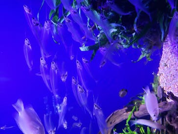 サンシャイン水族館に投稿された画像（2020/11/16）